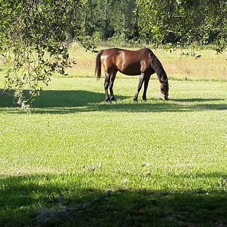 Kokomo Farms Live Oak Luaran gambar