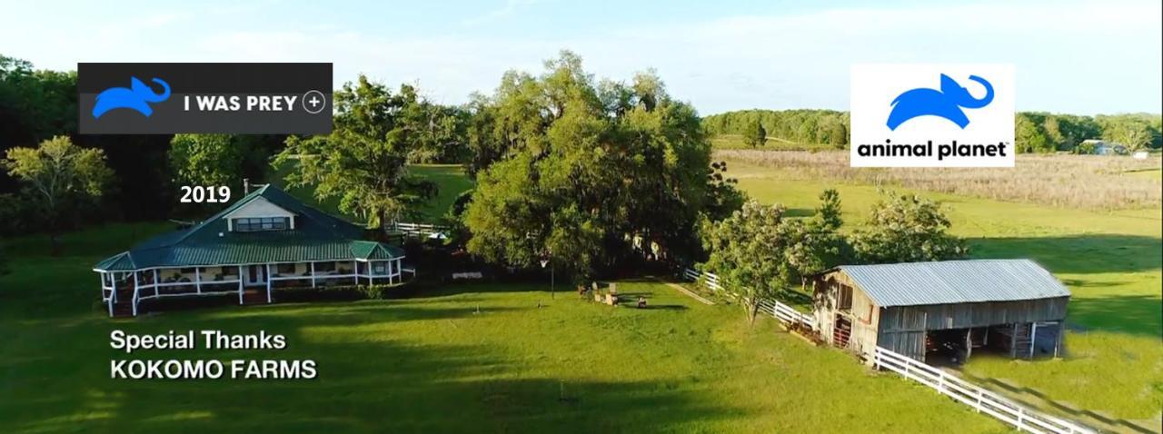 Kokomo Farms Live Oak Luaran gambar