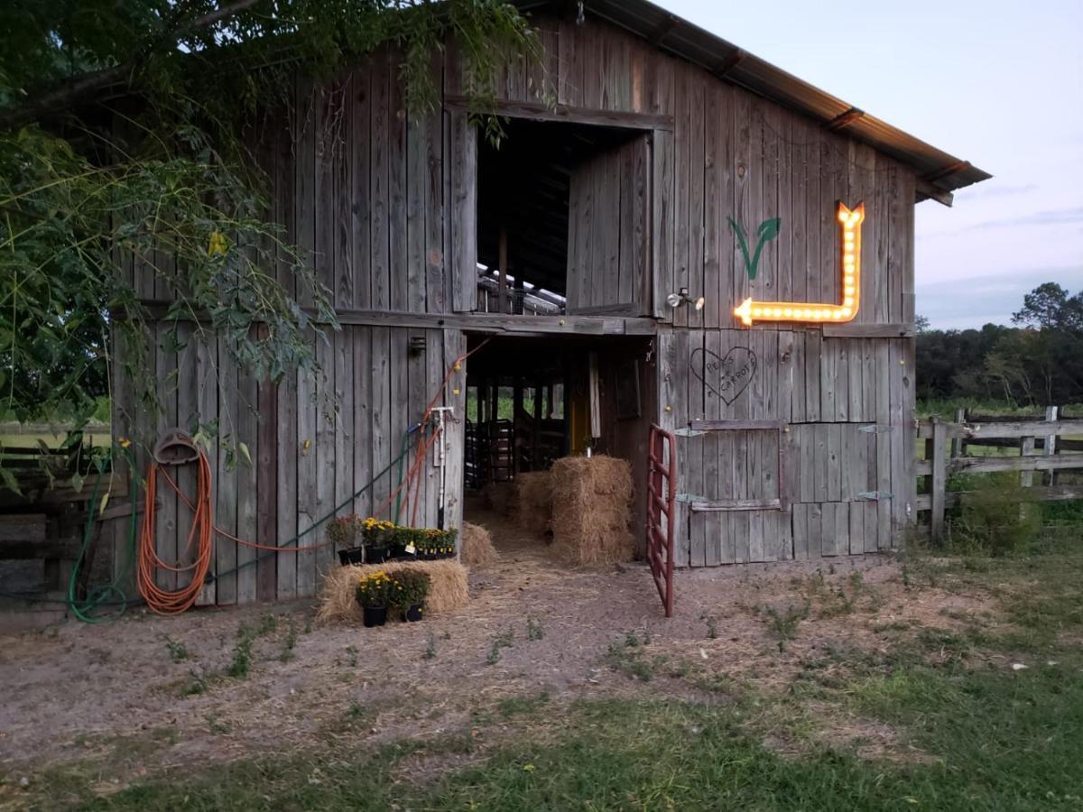 Kokomo Farms Live Oak Luaran gambar