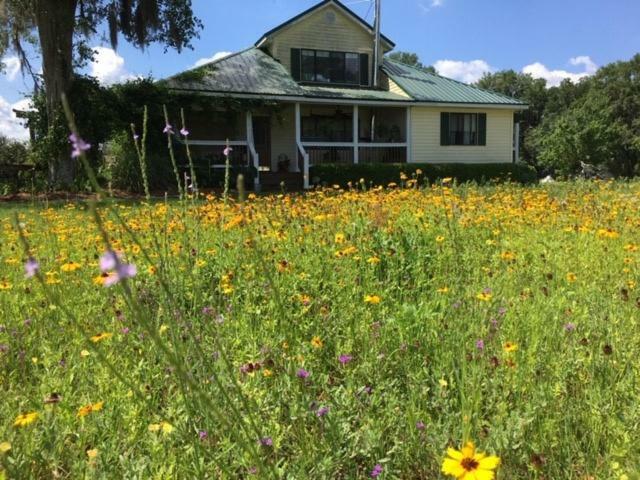 Kokomo Farms Live Oak Luaran gambar